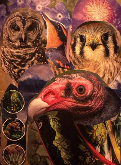 collage