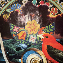 The Transformative Wisdom of Psilocybin photo